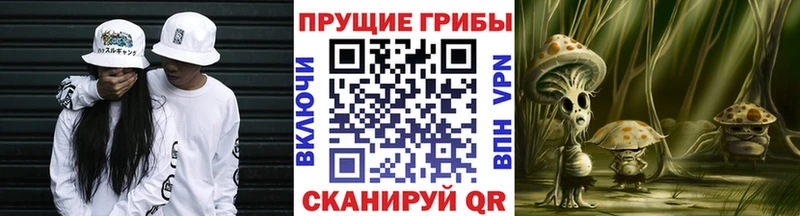 Галлюциногенные грибы Magic Shrooms  Сим 